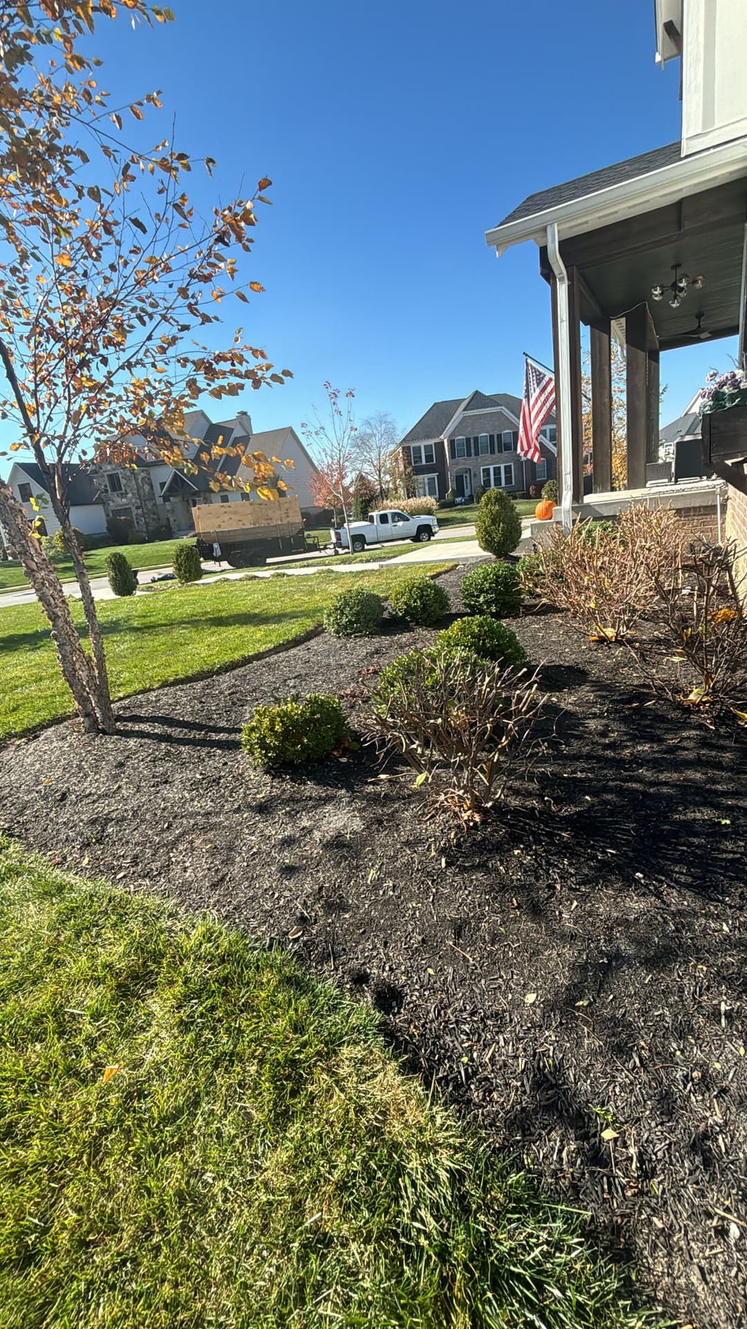 Colorful autumn landscape with trimmed bushes and a house displaying an American flag.