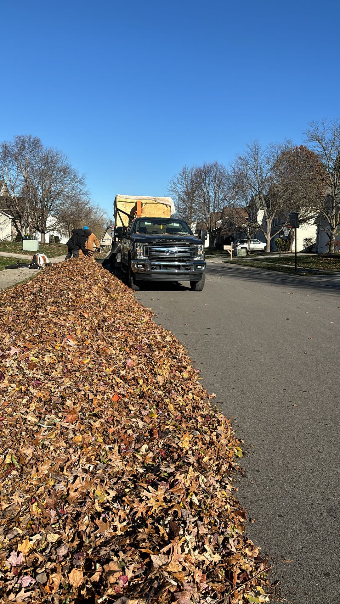 Truck collecting autumn leaves in a neighborhood, with workers raking alongside.