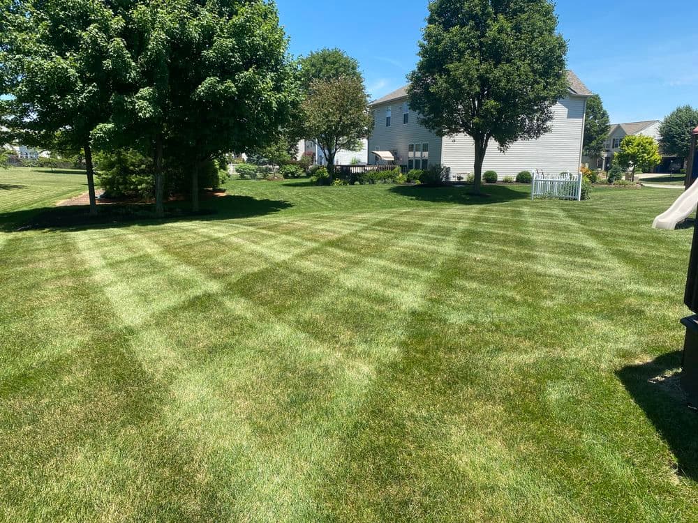 Lush green lawn with striped patterns, trees, and residential homes in background.